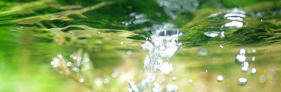 Filtraggio acquario naturale