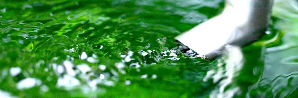 Flusso dell'acqua in acquario