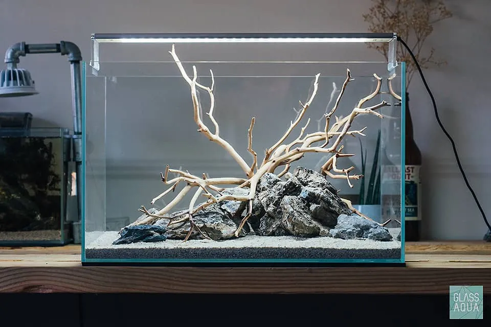 Manzanita wood