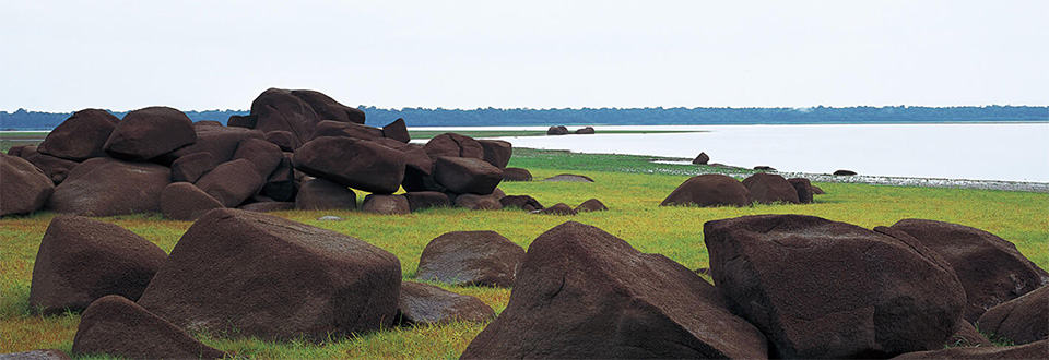 Rocce per acquario
