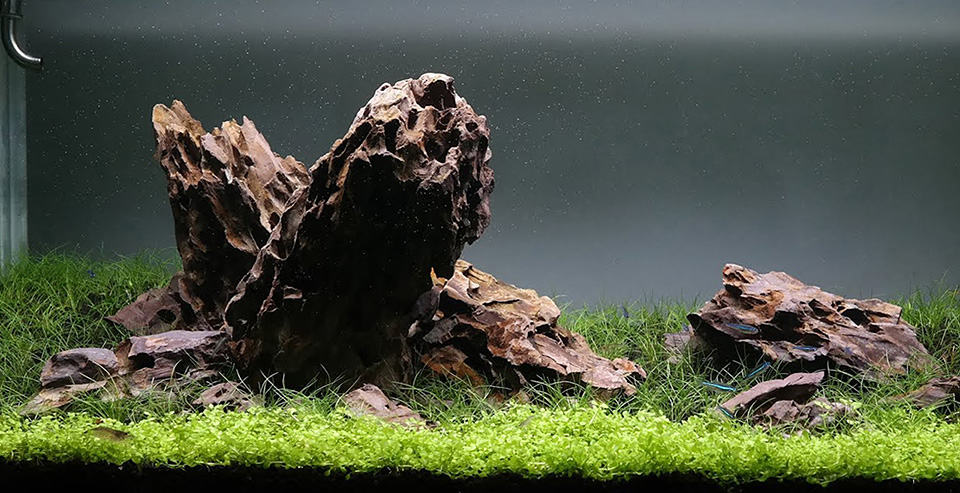 Iwagumi