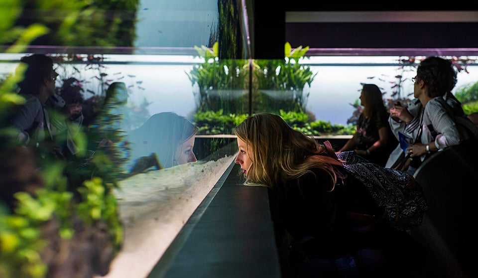 Oceanario di Lisbona