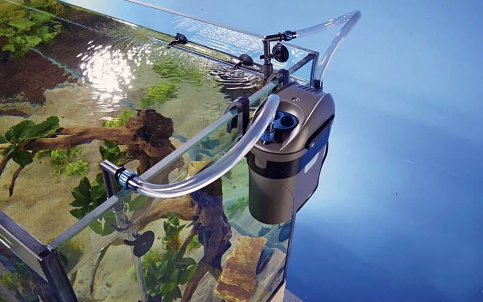 Acquario con filtro esterno