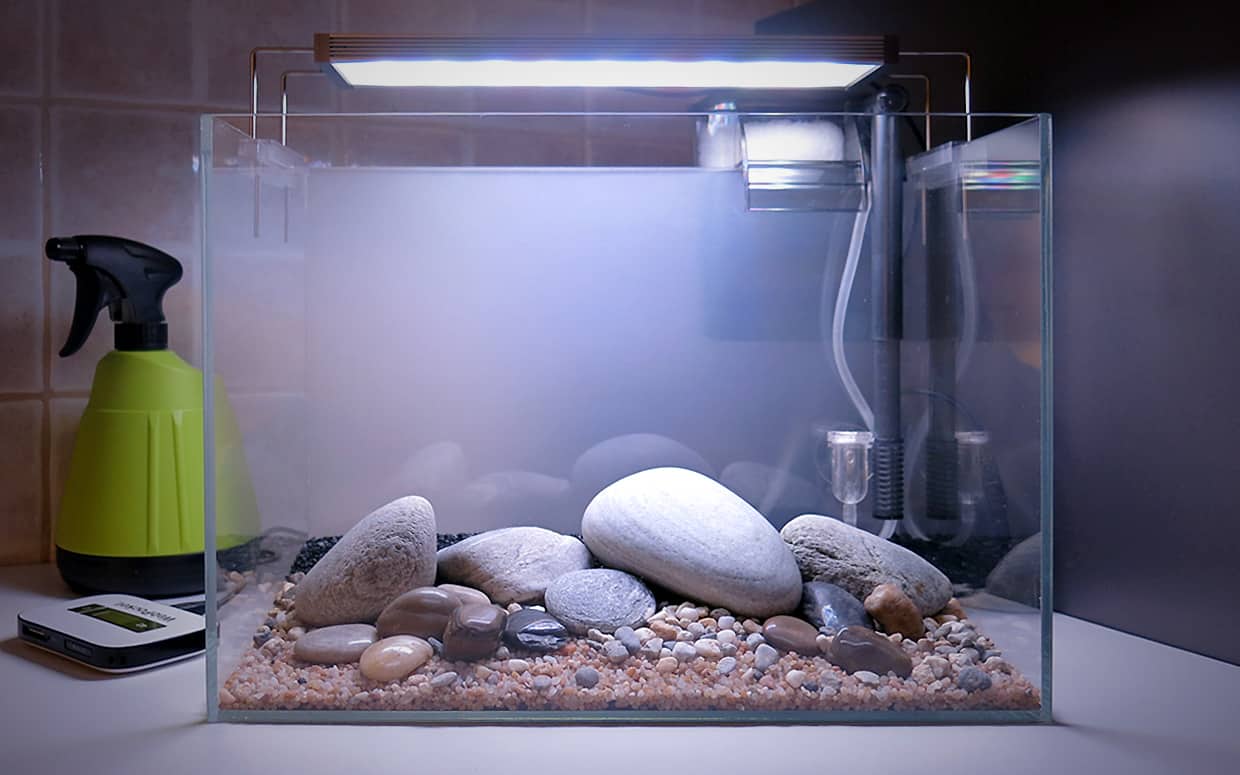Acquario da 20 litri Zen