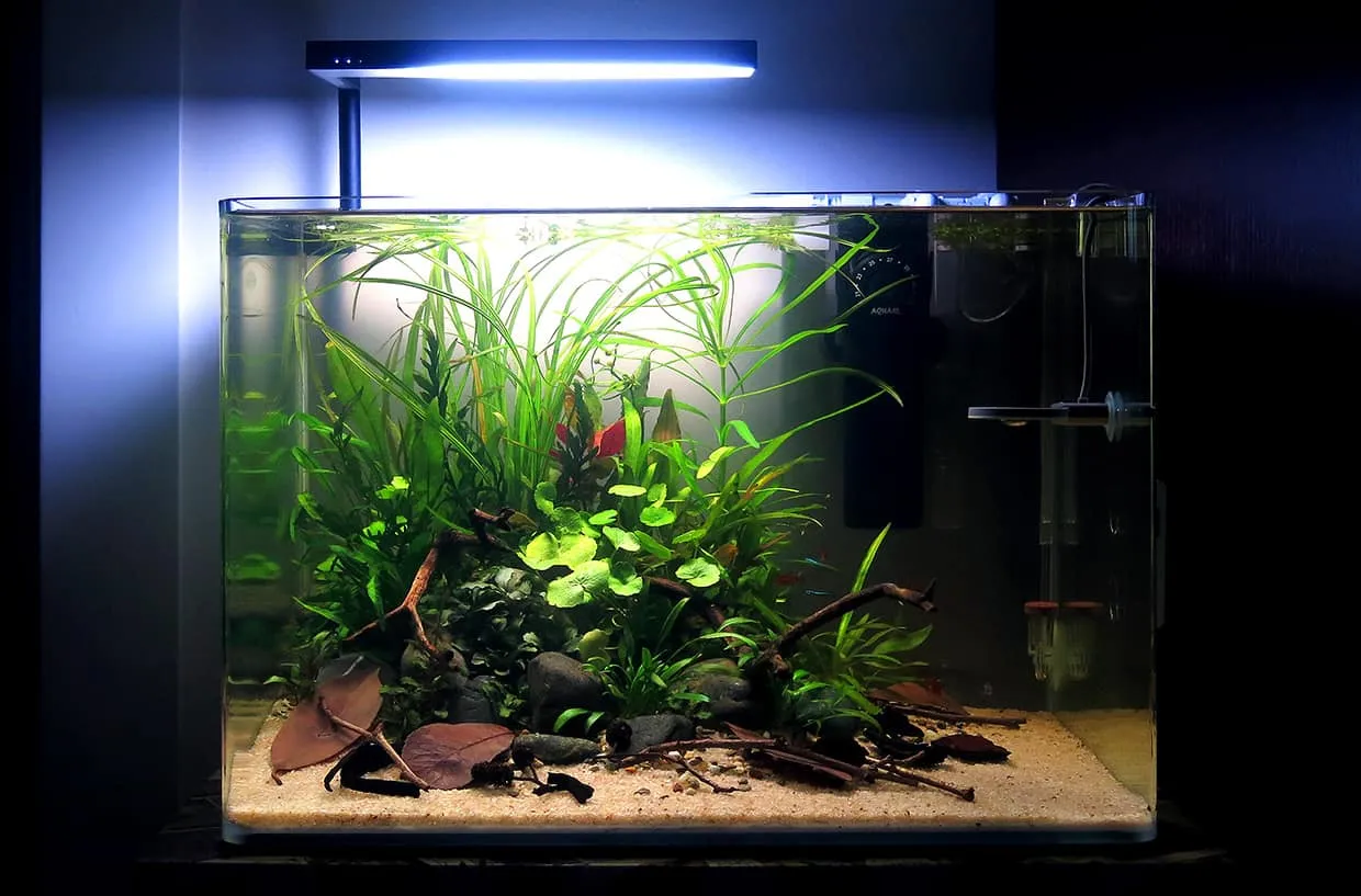 ONF Flat Nano+