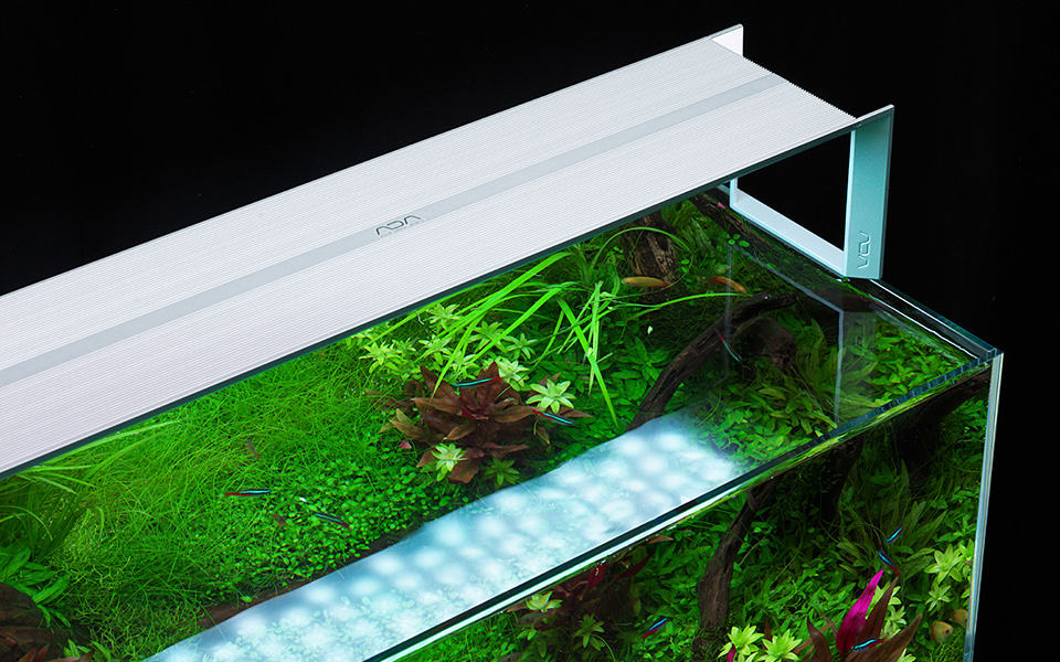 Plafoniera per acquario naturale