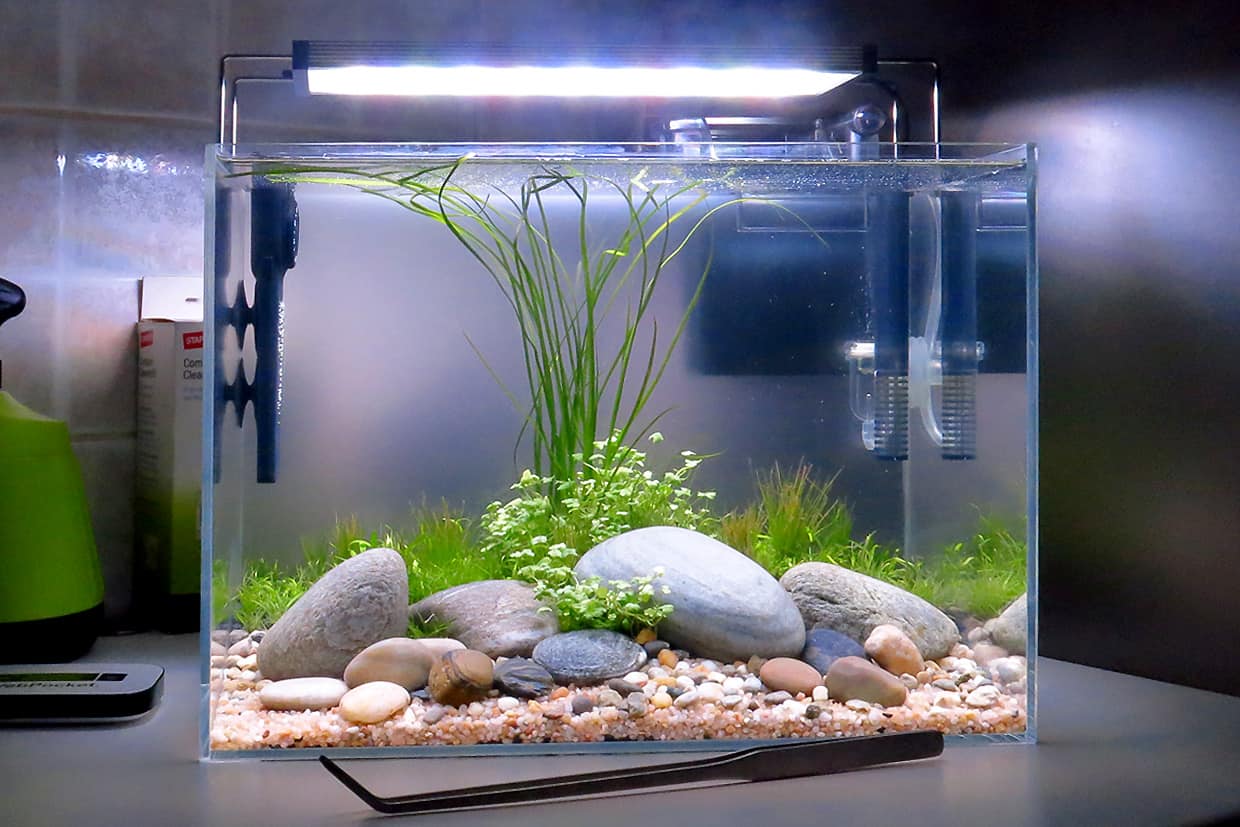 Acquario fiume