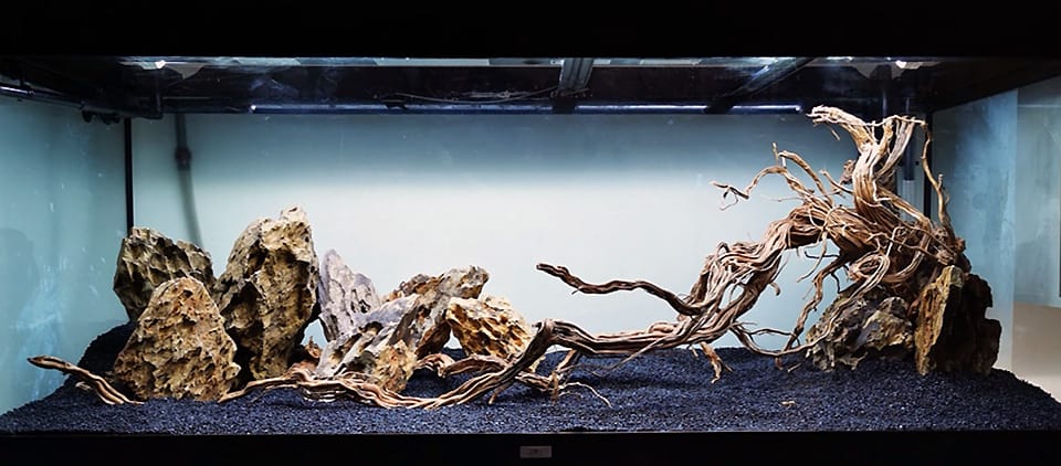 Hardscape layout