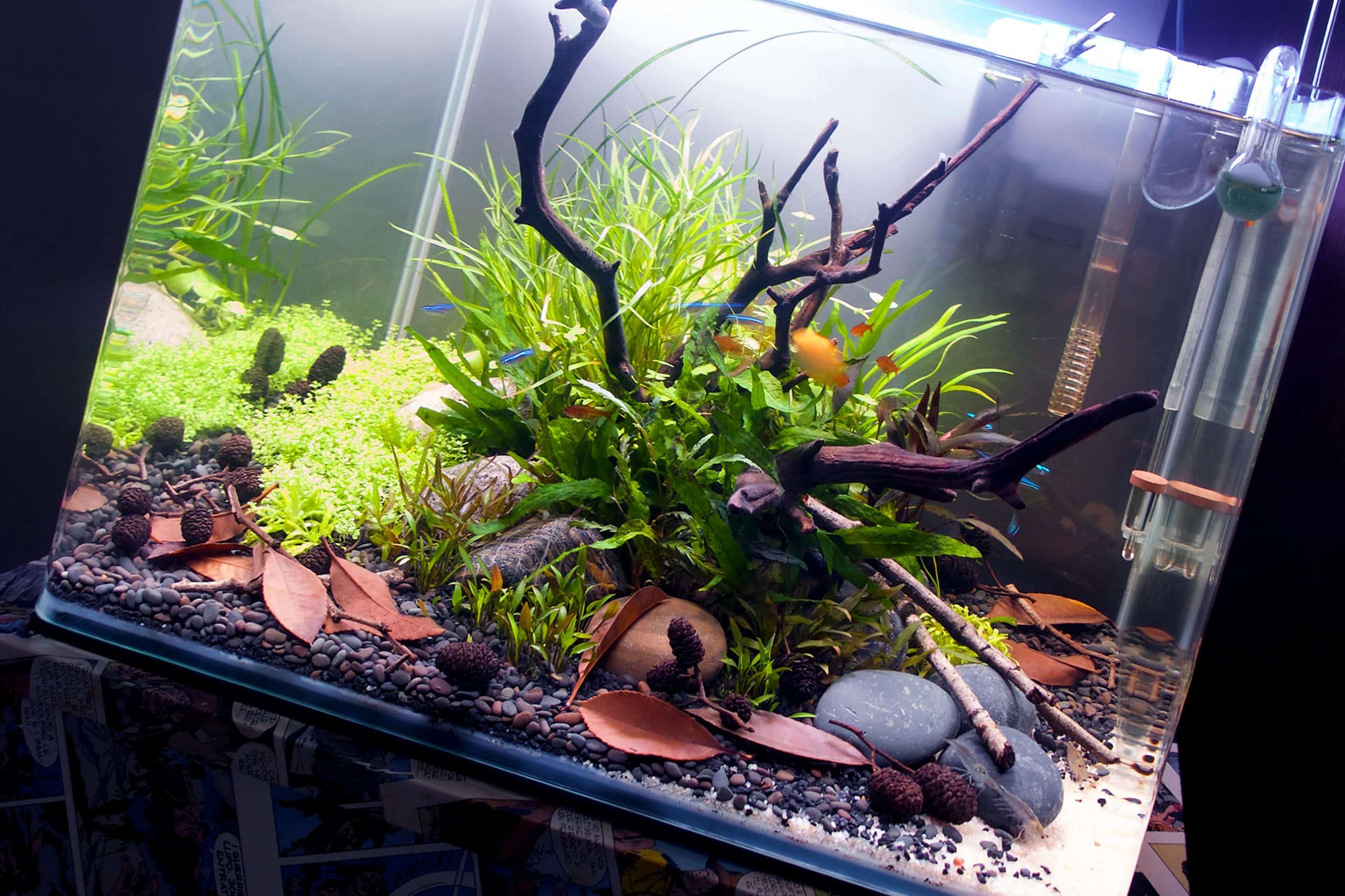 Acquario in camera da letto