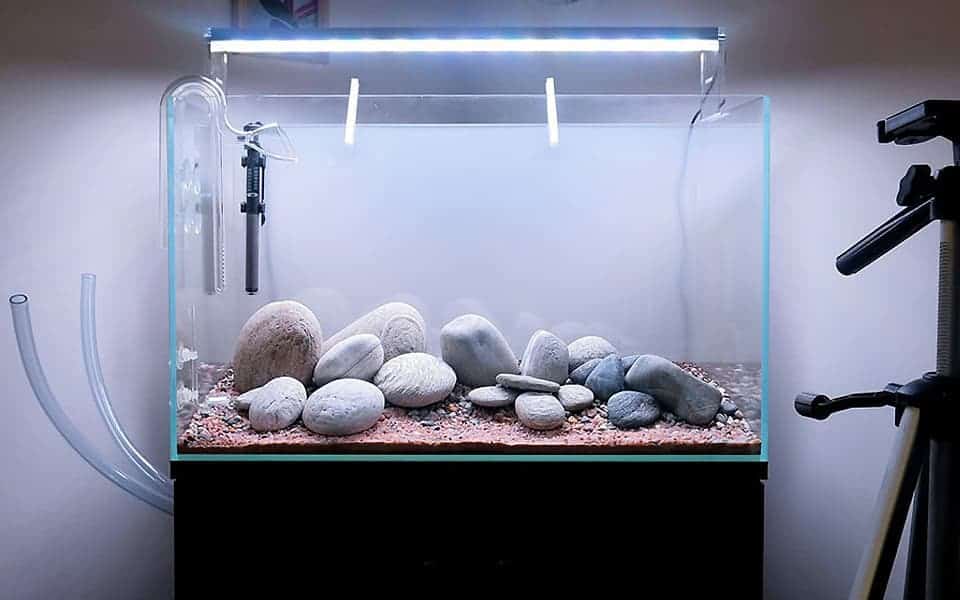 Acquario per pesci