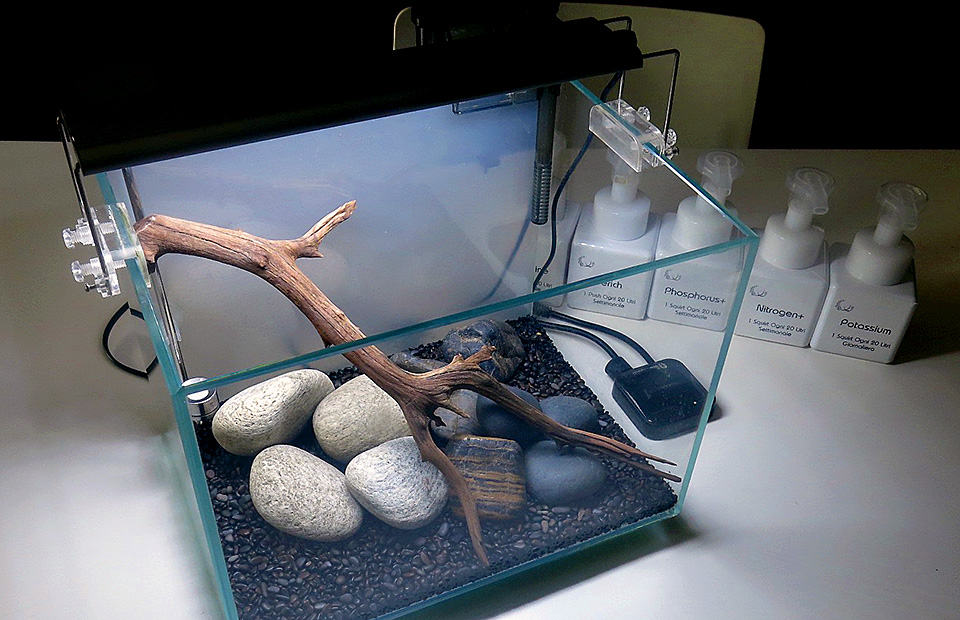 Nano acquario