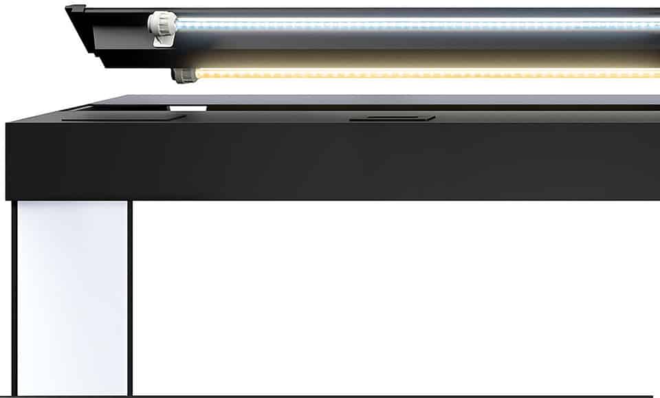 Illuminazione acquario