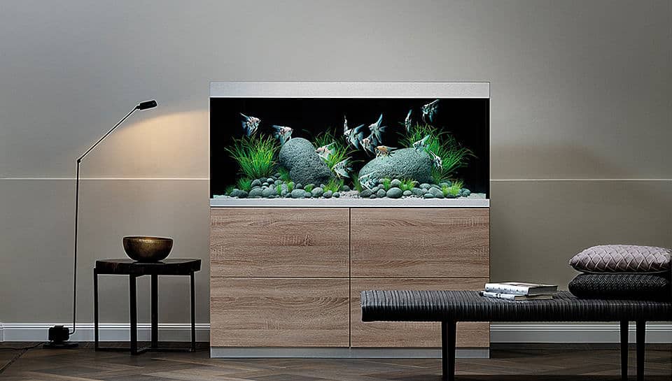 Acquari da arredo