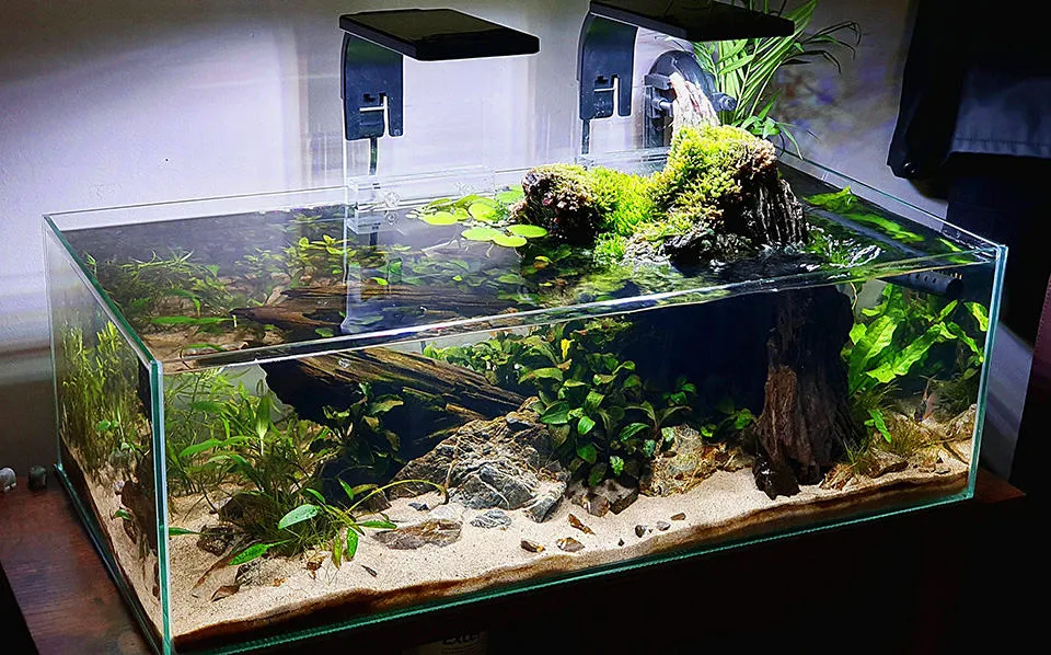 Shallow tank
