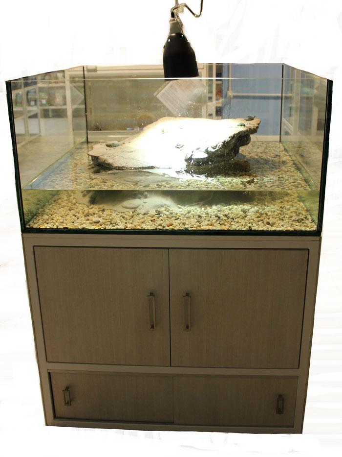tartarughiera acqua
