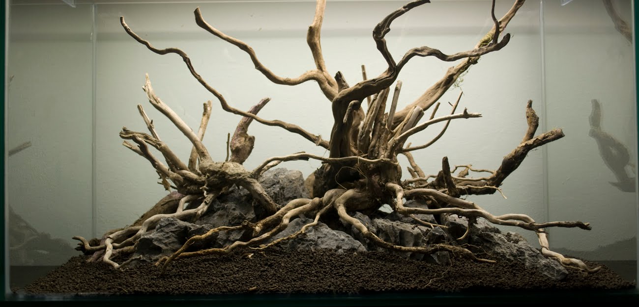 Legni, acquario