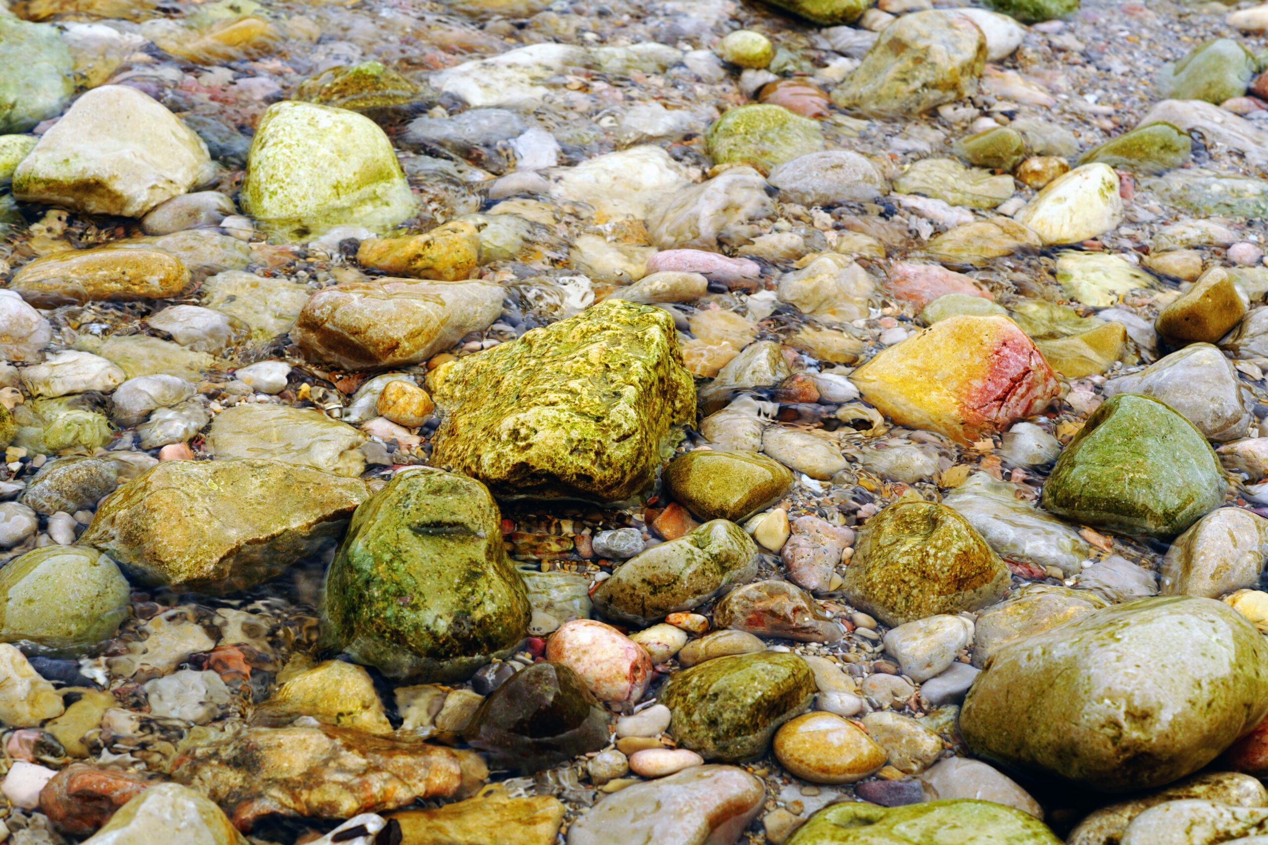 rocce vive vs rocce artigianali