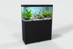 Acquario 165 Litri con Mobile Nero – Linea Standard